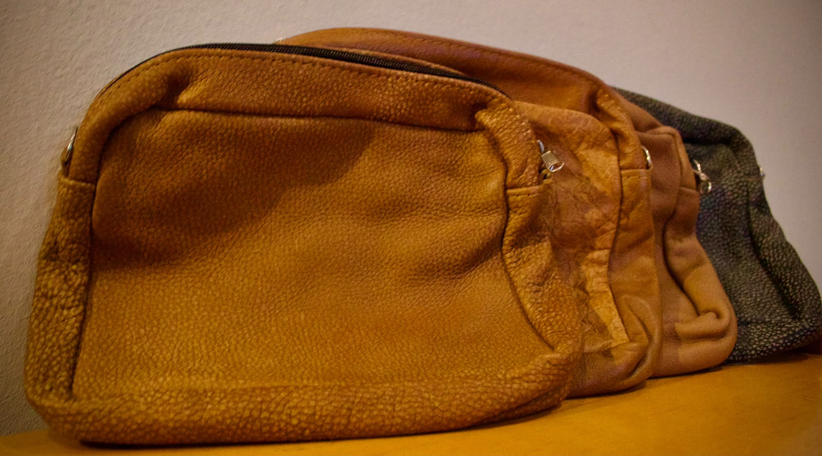 Toiletries / Makeup Bag